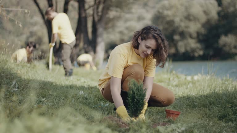 Best Pest Control for Lawns  in Valatie, NY