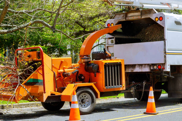 Best Arborist Consultation Services  in Valatie, NY