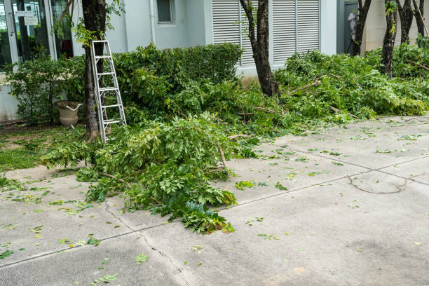Best Lawn Maintenance Plans  in Valatie, NY