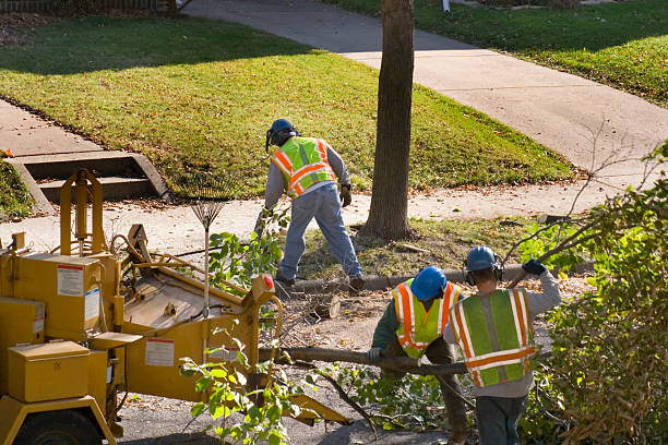 Best Hazardous Tree Removal  in Valatie, NY