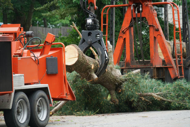 Best Lawn Pest Prevention  in Valatie, NY