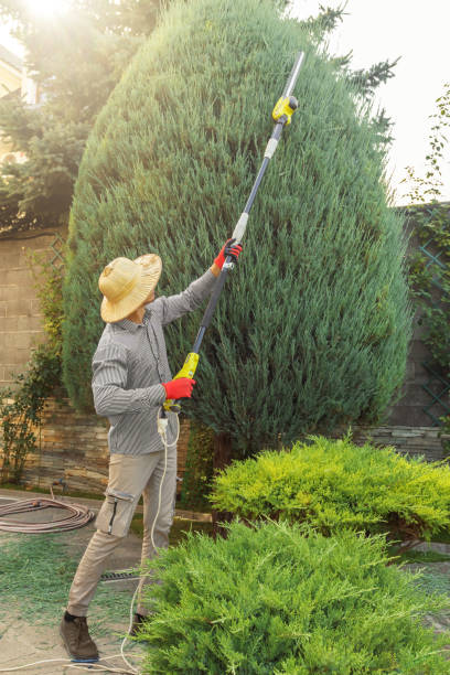 Best Soil Testing and Treatment  in Valatie, NY