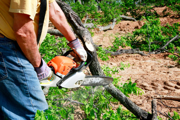 Best Aeration Services  in Valatie, NY